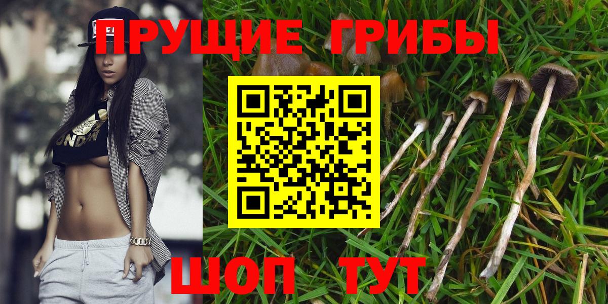 Псилоцибиновые грибы мухоморы  Вход с VPN  Кинешма 